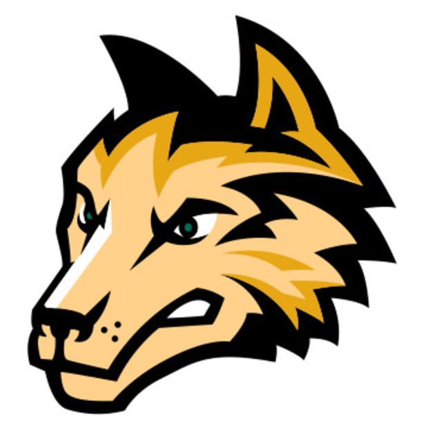 Wright State Raiders Logo